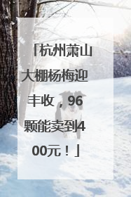杭州萧山大棚杨梅迎丰收，96颗能卖到400元！