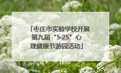 枣庄市实验学校开展第九届“5·25”心理健康节游园活动