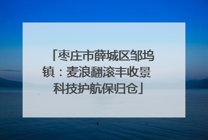 枣庄市薛城区邹坞镇：麦浪翻滚丰收景 科技护航保归仓