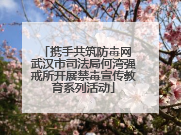 携手共筑防毒网 武汉市司法局何湾强戒所开展禁毒宣传教育系列活动