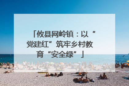 攸县网岭镇：以“党建红”筑牢乡村教育“安全绿”