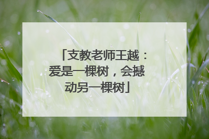 支教老师王越：爱是一棵树，会撼动另一棵树