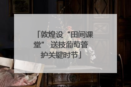 敦煌设“田间课堂” 送技葡萄管护关键时节