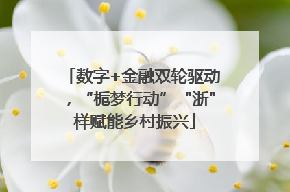 数字+金融双轮驱动，“栀梦行动”“浙”样赋能乡村振兴
