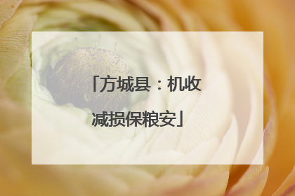 方城县：机收减损保粮安