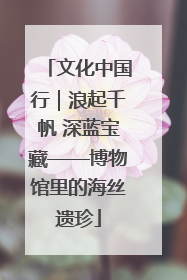 文化中国行｜浪起千帆 深蓝宝藏——博物馆里的海丝遗珍