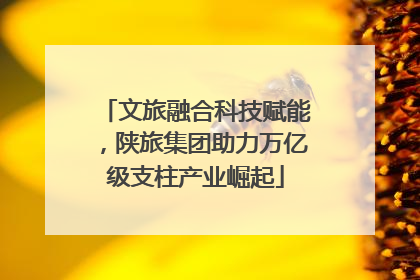 文旅融合科技赋能，陕旅集团助力万亿级支柱产业崛起