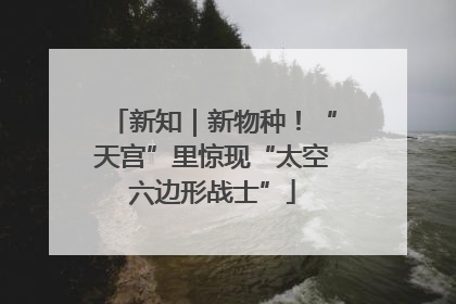 新知｜新物种！“天宫”里惊现“太空六边形战士”