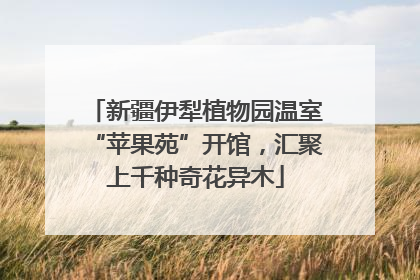 新疆伊犁植物园温室“苹果苑”开馆，汇聚上千种奇花异木