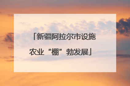 新疆阿拉尔市设施农业“棚”勃发展