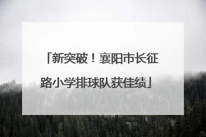 新突破！襄阳市长征路小学排球队获佳绩