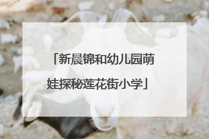 新晨锦和幼儿园萌娃探秘莲花街小学