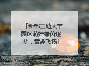 新都三幼大丰园区萌娃绿茵逐梦，童趣飞扬
