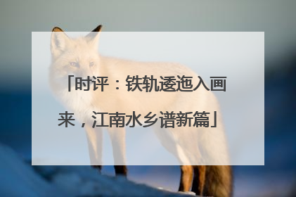 时评：铁轨逶迤入画来，江南水乡谱新篇