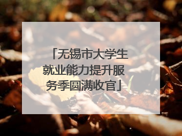 无锡市大学生就业能力提升服务季圆满收官