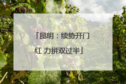 昆明：续势开门红 力拼双过半