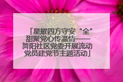 星耀四方守安“全” 甜聚党心传温情——舞阳社区党委开展流动党员建党节主题活动