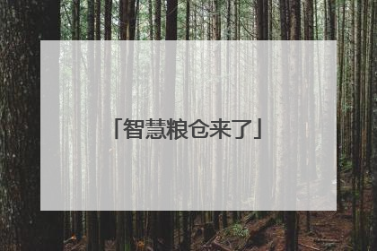 智慧粮仓来了