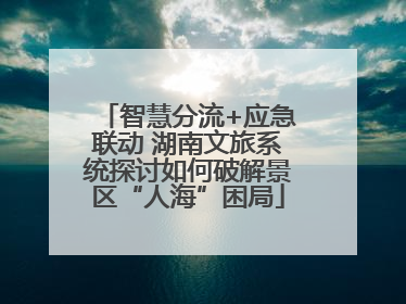智慧分流+应急联动 湖南文旅系统探讨如何破解景区“人海”困局