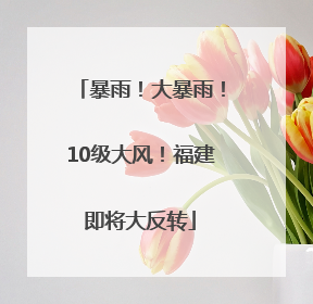 暴雨！大暴雨！10级大风！福建即将大反转