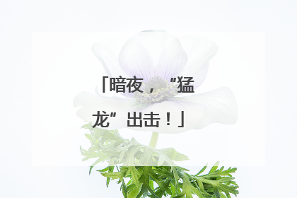 暗夜，“猛龙”出击！