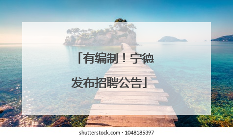 有编制！宁德发布招聘公告