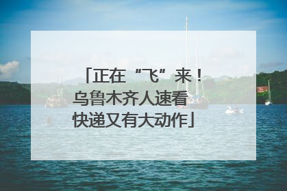 正在“飞”来！乌鲁木齐人速看 快递又有大动作