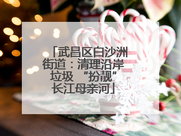 武昌区白沙洲街道：清理沿岸垃圾 “扮靓”长江母亲河