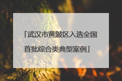 武汉市黄陂区入选全国首批综合类典型案例
