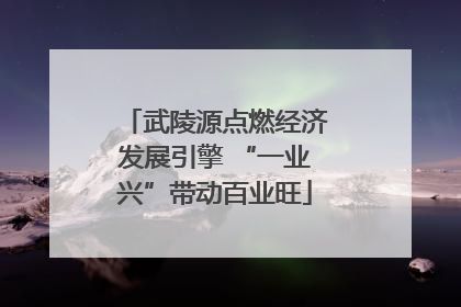 武陵源点燃经济发展引擎 “一业兴”带动百业旺