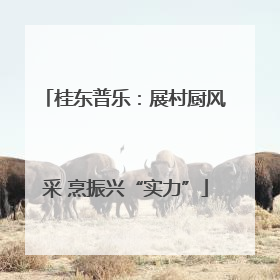 桂东普乐：展村厨风采 烹振兴“实力”