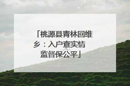 桃源县青林回维乡：入户查实情 监督保公平