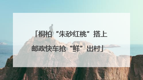桐柏“朱砂红桃”搭上邮政快车抢“鲜”出村