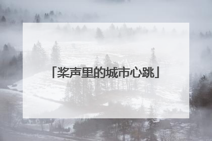 桨声里的城市心跳