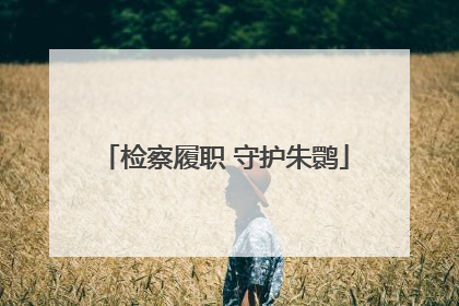 检察履职 守护朱鹮