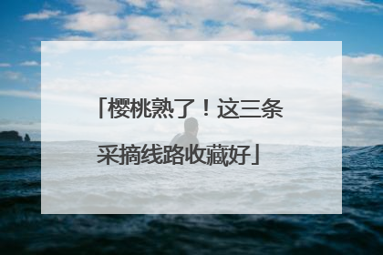 樱桃熟了！这三条采摘线路收藏好