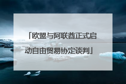 欧盟与阿联酋正式启动自由贸易协定谈判