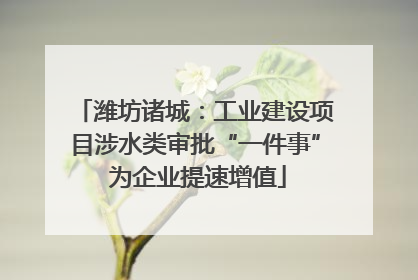 潍坊诸城：工业建设项目涉水类审批“一件事” 为企业提速增值
