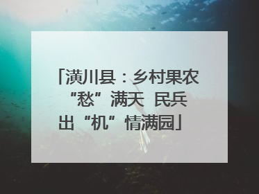 潢川县：乡村果农“愁”满天  民兵出“机”情满园