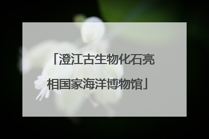 澄江古生物化石亮相国家海洋博物馆