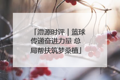 澧源时评｜篮球传递奋进力量 总局帮扶筑梦桑植