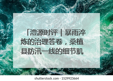 澧源时评｜暴雨淬炼的治理答卷，桑植县防汛一线的细节肌理与体系力量