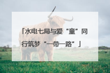 水电七局与爱“童”同行筑梦“一带一路”