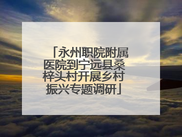 永州职院附属医院到宁远县桑梓头村开展乡村振兴专题调研