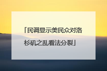 民调显示美民众对洛杉矶之乱看法分裂