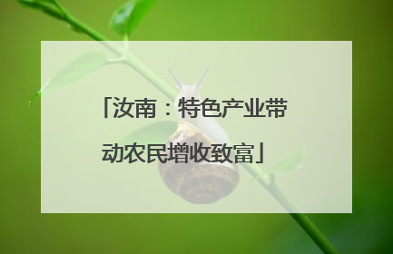 汝南：特色产业带动农民增收致富