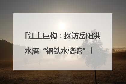 江上巨构：探访岳阳洪水港“钢铁水骆驼”