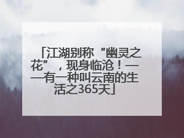 江湖别称“幽灵之花”，现身临沧！——有一种叫云南的生活之365天