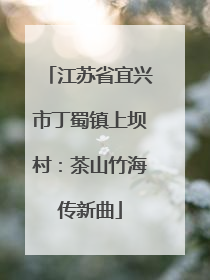 江苏省宜兴市丁蜀镇上坝村：茶山竹海传新曲