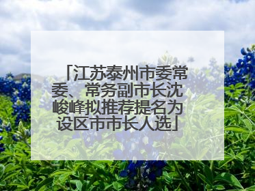 江苏泰州市委常委、常务副市长沈峻峰拟推荐提名为设区市市长人选